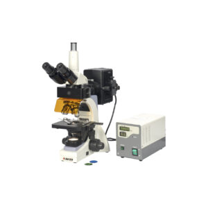 Imported Upright Fluorescence Microscope