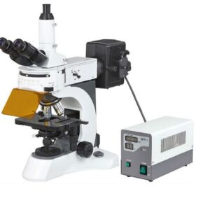 Imported Upright Fluorescence Inverted Microscope