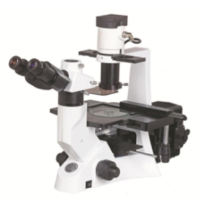 TM-10 Fluorescent Microscope
