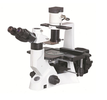 TM-10 Fluorescent Microscope