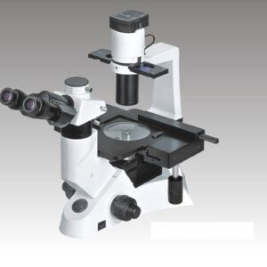 TM-8 (Almicro Inverted Tissue Culture Microscope)