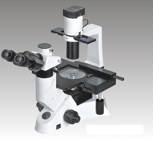 TM-8 (Almicro Inverted Tissue Culture Microscope)