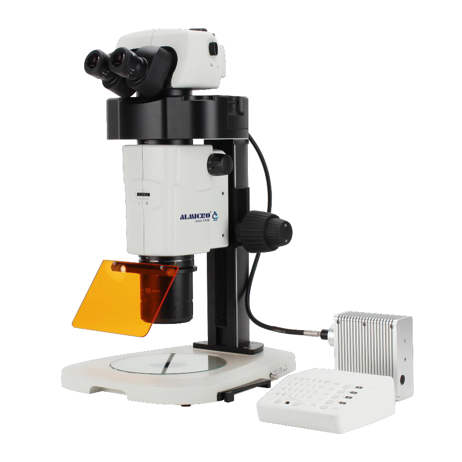 Parallel Zoom Stereo Fluorescence Microscope