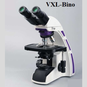 Research Binocular Microscope (VXL-Bino)